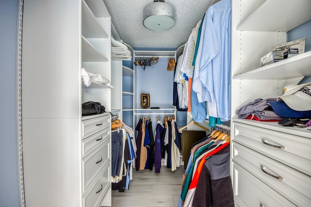 spacious closet with light hardwood / wood-style flooring