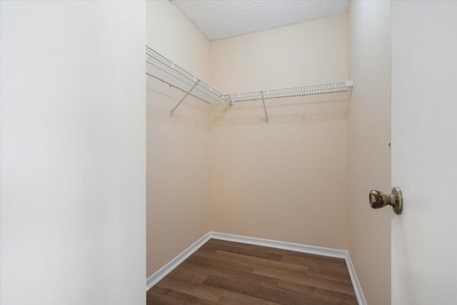 spacious closet featuring dark hardwood / wood-style floors