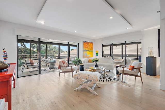 living room featuring light hardwood / wood-style flooring