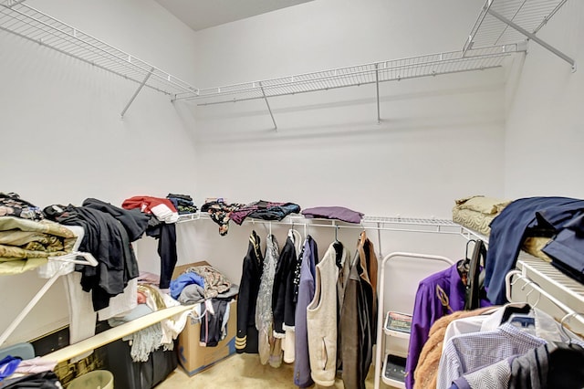 spacious closet with carpet floors