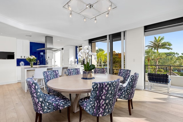 dining area featuring light hardwood / wood-style flooring and expansive windows