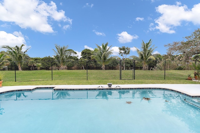 view of pool featuring a lawn