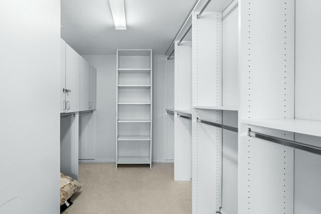 100 Lakeshore Dr Unit 252, North Palm Beach, FL 33408 - spacious closet with light carpet