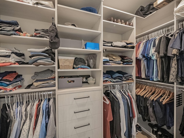 view of spacious closet