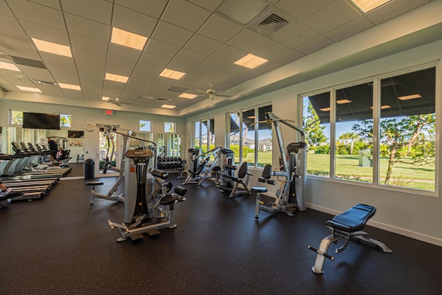 gym featuring a drop ceiling and ceiling fan