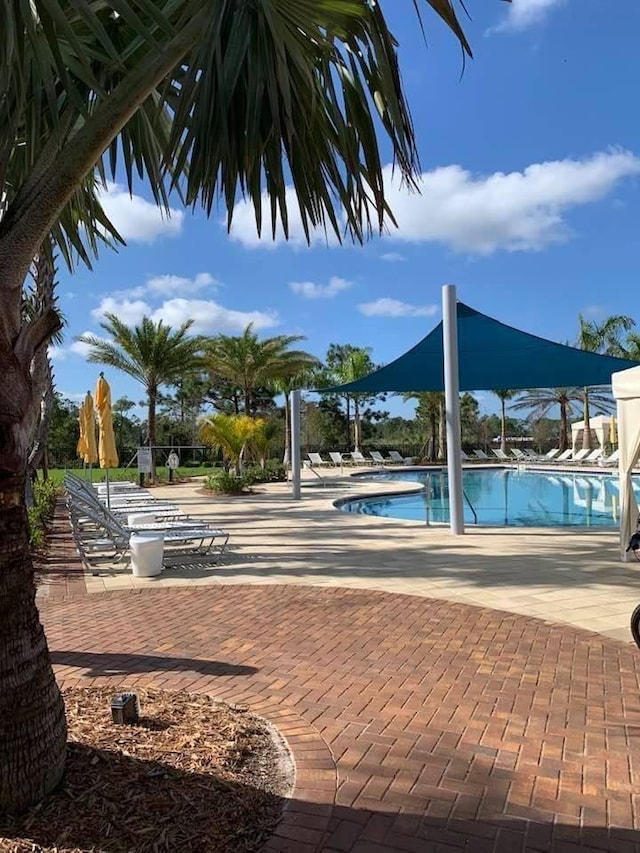 view of pool with a patio