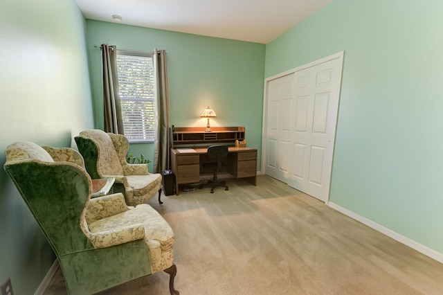 sitting room featuring light carpet