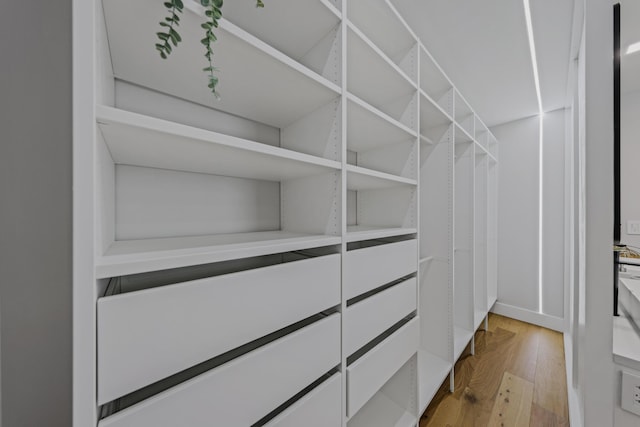 walk in closet with light hardwood / wood-style floors