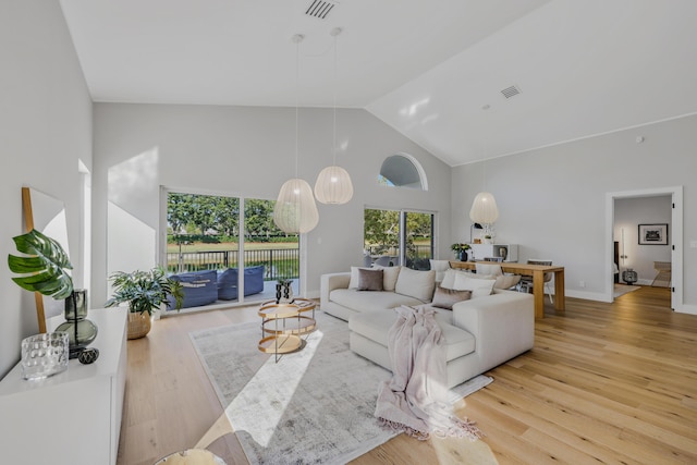 living room featuring high vaulted ceiling and light hardwood / wood-style flooring