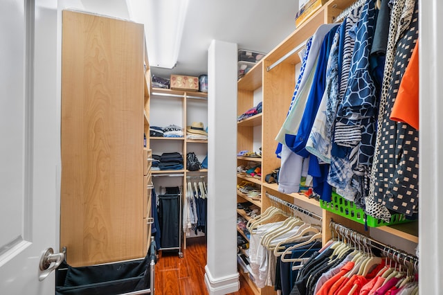 walk in closet featuring dark hardwood / wood-style floors