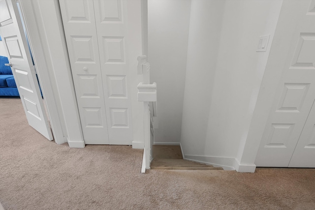 stairway featuring carpet flooring