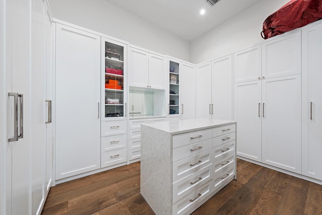 spacious closet with dark wood-type flooring