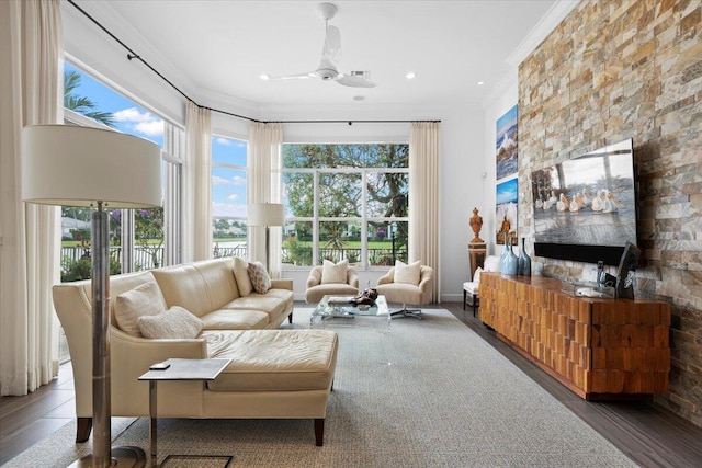 living room with crown molding, ceiling fan, and dark wood-type flooring