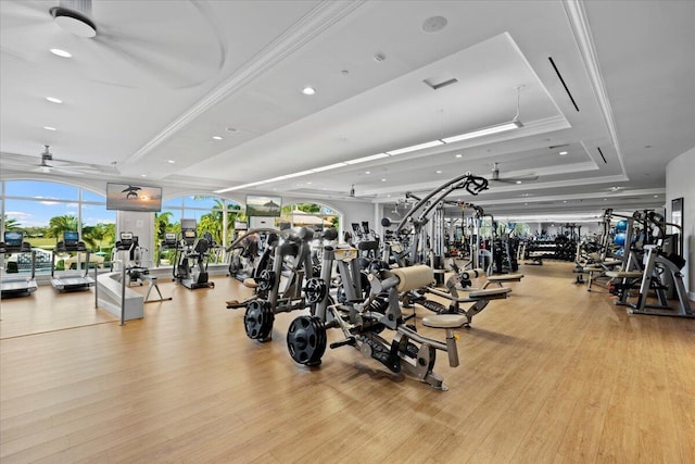 gym featuring crown molding, ceiling fan, light wood-type flooring, and a tray ceiling