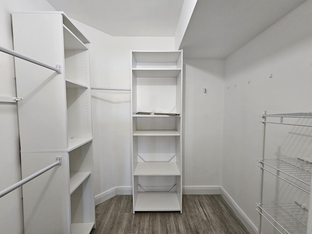 spacious closet featuring dark wood-type flooring