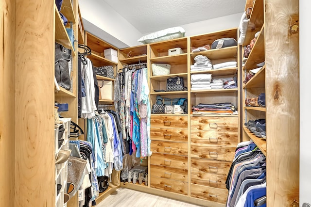 spacious closet featuring light hardwood / wood-style flooring