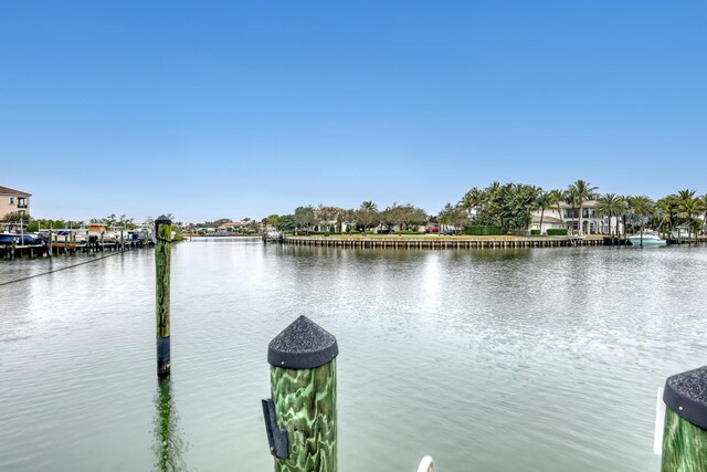 water view featuring a boat dock