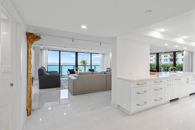 living room with expansive windows, a water view, rail lighting, and sink