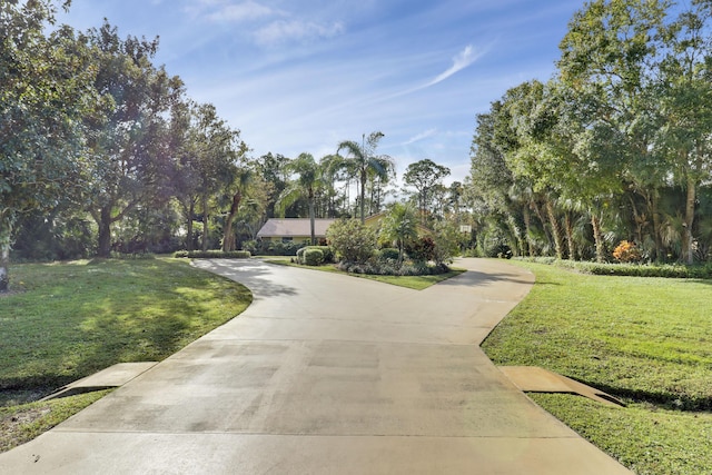 view of home's community with a lawn