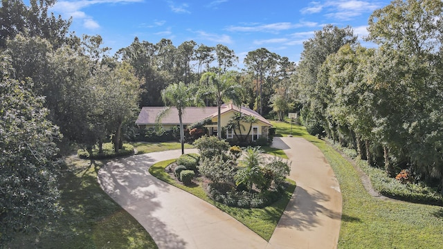 view of property's community with a yard