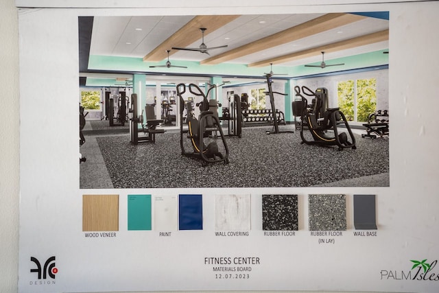 exercise room featuring ceiling fan