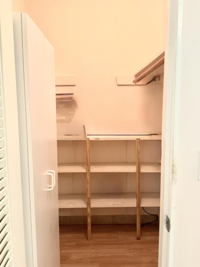 walk in closet with wood-type flooring