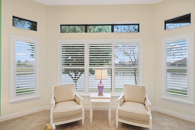 sitting room featuring light colored carpet