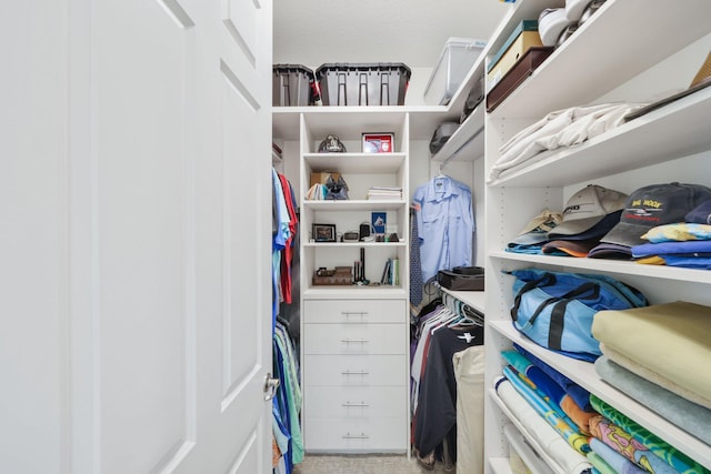 view of spacious closet