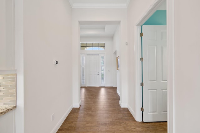 corridor featuring hardwood / wood-style floors and ornamental molding