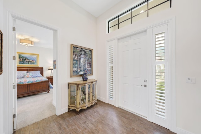 foyer entrance featuring wood-type flooring