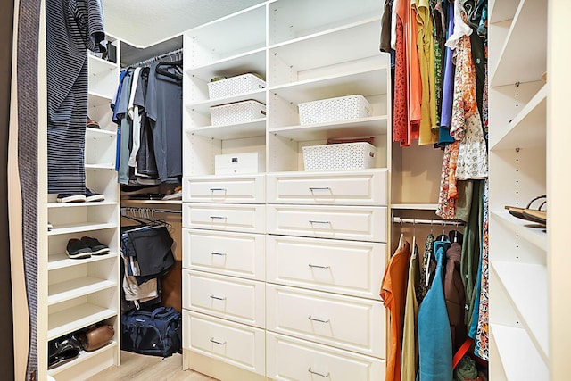 spacious closet featuring light wood-type flooring