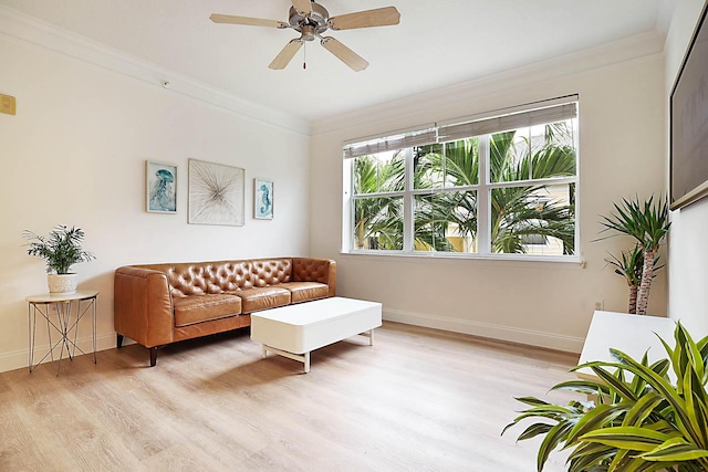 living room featuring ceiling fan, ornamental molding, and light hardwood / wood-style flooring