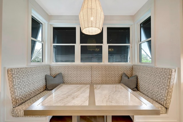 interior space featuring a healthy amount of sunlight and breakfast area