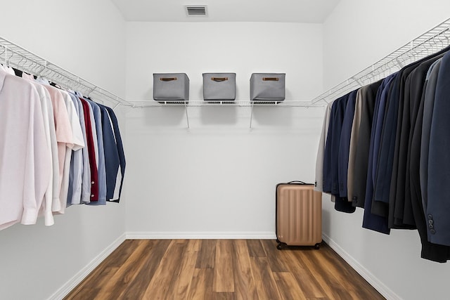 5138 White Oleander, West Palm Beach, FL 33415 - walk in closet featuring wood finished floors and radiator heating unit