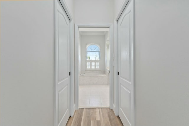 corridor with light hardwood / wood-style flooring