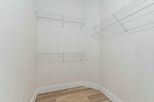 spacious closet featuring wood-type flooring