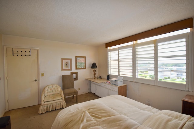 bedroom with a textured ceiling