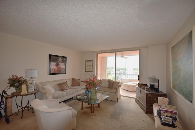 carpeted living room with a textured ceiling