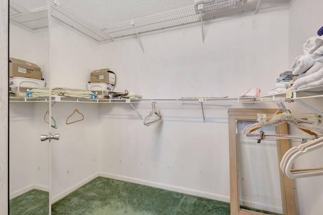 walk in closet featuring carpet floors