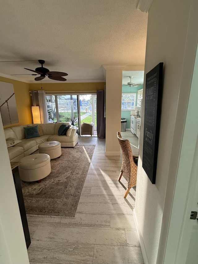 living room with ceiling fan, crown molding, a textured ceiling, and light hardwood / wood-style floors