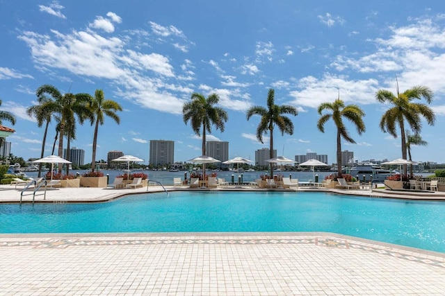 view of pool with a patio