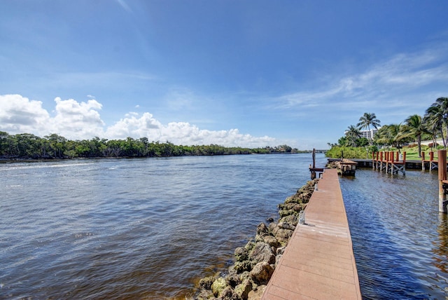 dock area featuring a water view