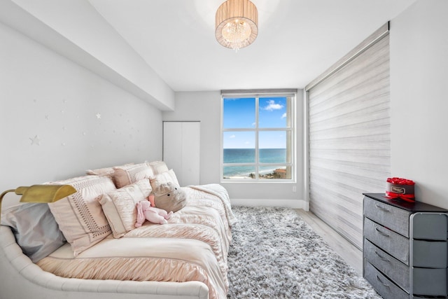 bedroom featuring light hardwood / wood-style floors and a water view