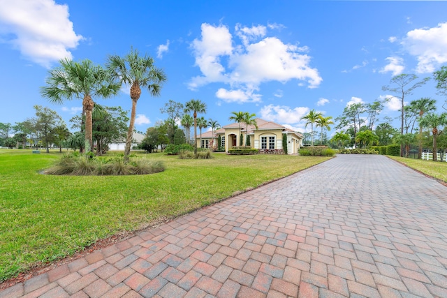 view of front of house with a front yard