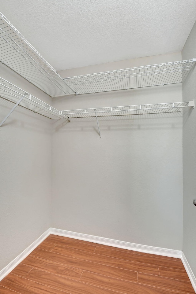 walk in closet featuring hardwood / wood-style floors