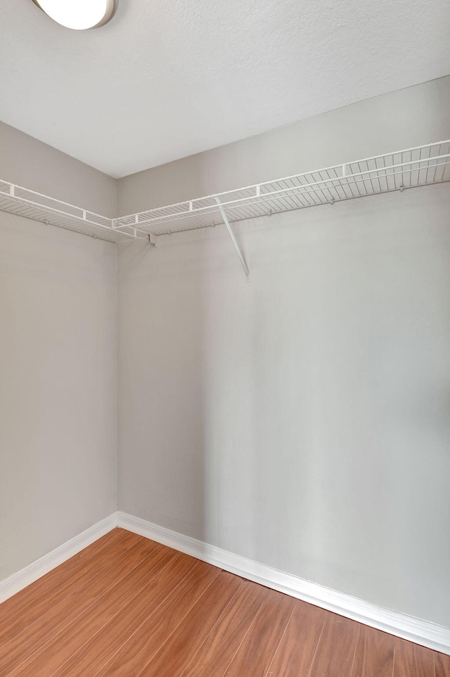 15155 Michelangelo Blvd Unit 201, Delray Beach, FL 33446 - walk in closet with light wood-style flooring