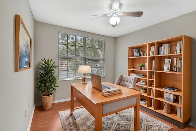 15155 Michelangelo Blvd Unit 201, Delray Beach, FL 33446 - office featuring wood finished floors, baseboards, and ceiling fan