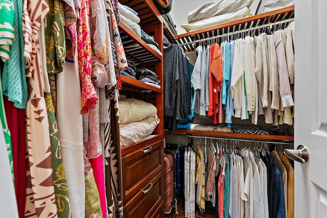 view of spacious closet