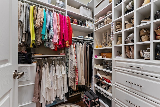 spacious closet with wood-type flooring