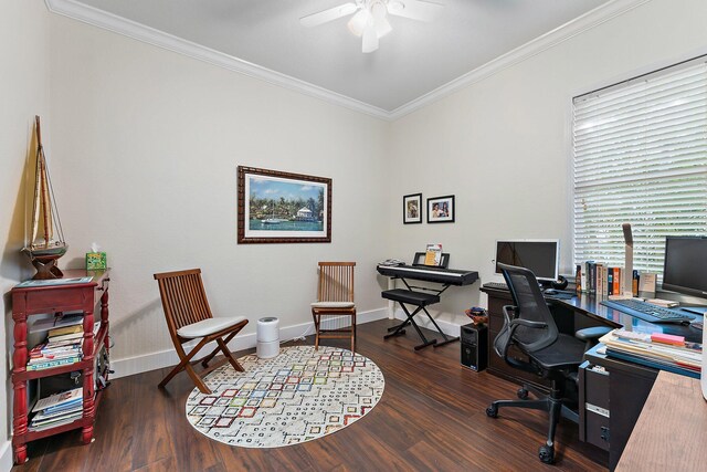 bedroom featuring ceiling fan, connected bathroom, crown molding, and dark hardwood / wood-style floors